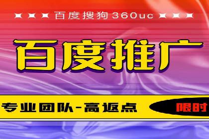 百度优化推广案例：打造行业领先品牌